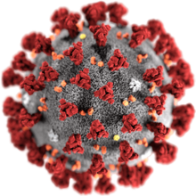 Info utili Coronavirus 